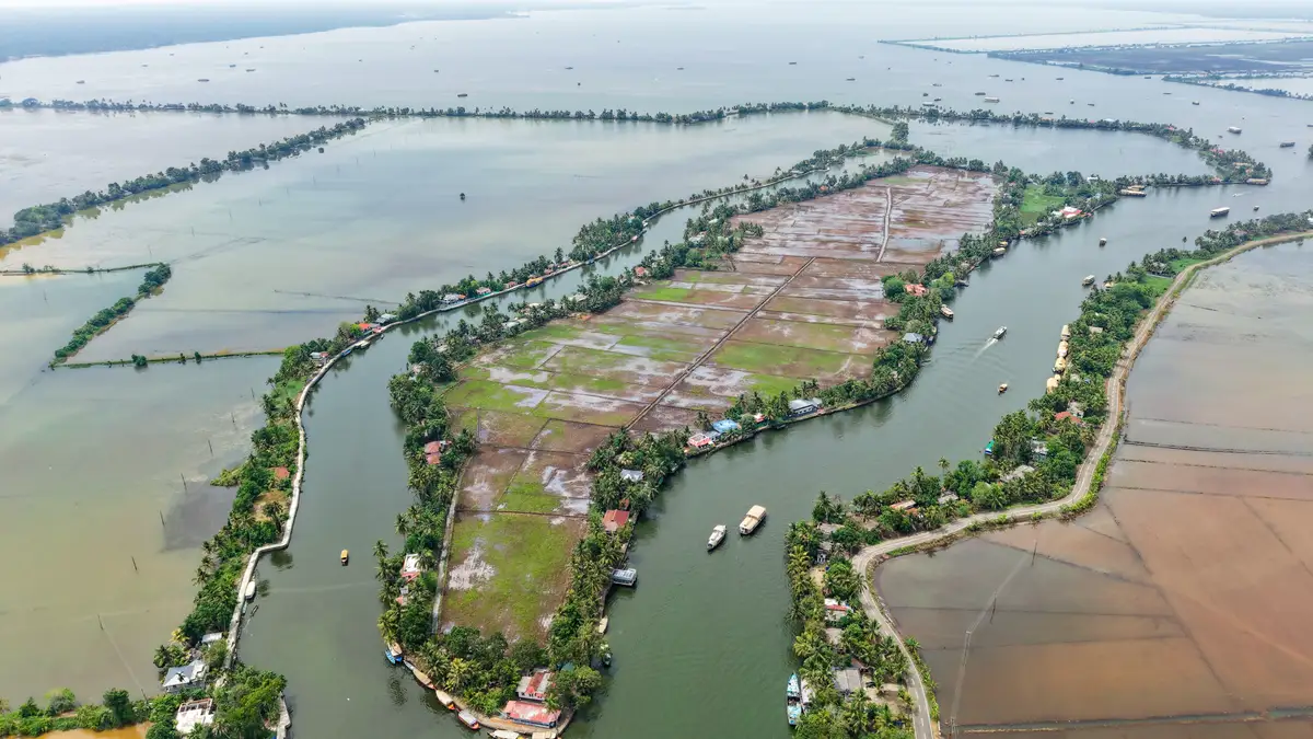 Ariel view of Paddy Fields Alappuzha Keralam