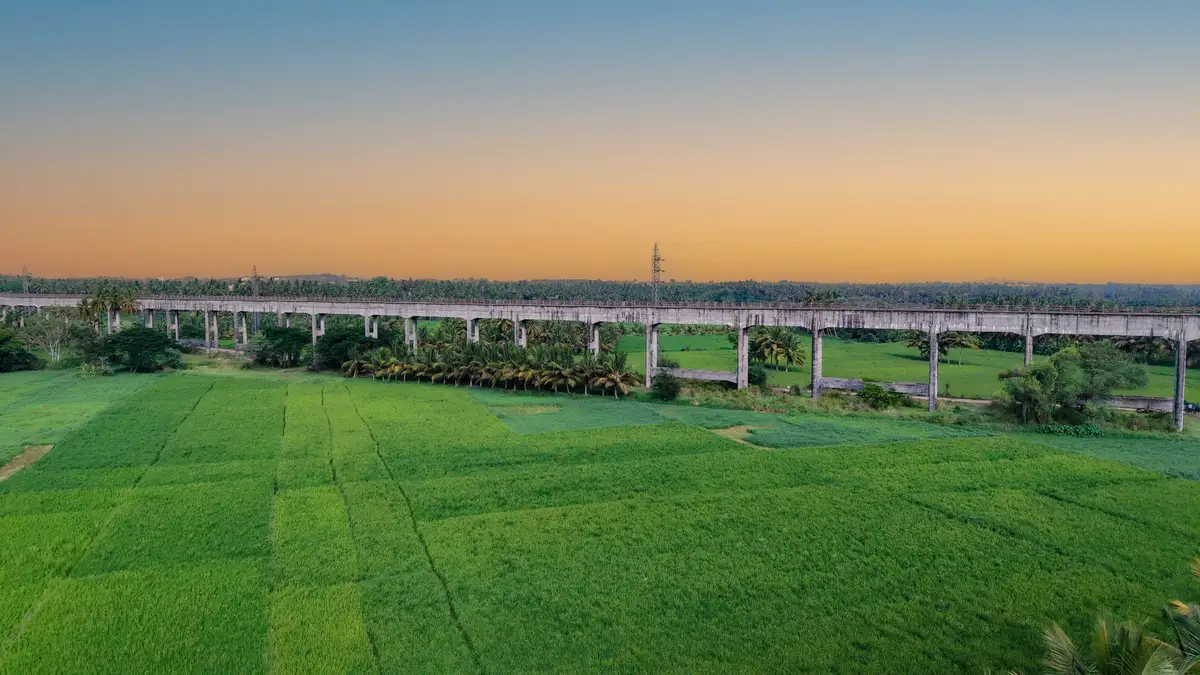 Paddy Fields Mysore Ooty Road 2026