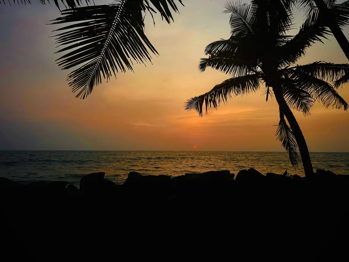 Chellanam to Alleppey Road
