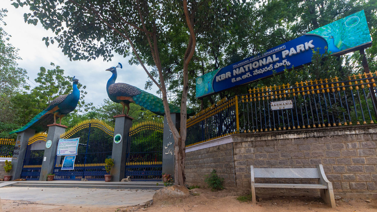 KBR National Park, Hyderabad